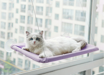 Cucha Cama Gato Aérea Mascotas Para Ventana Ventosa Cómoda