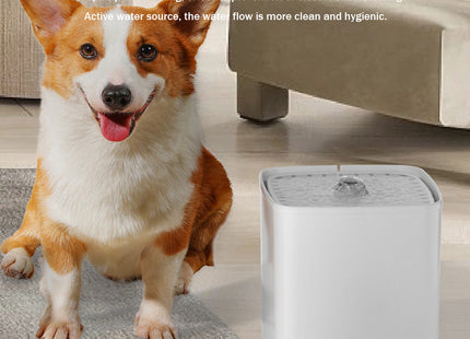 Fuente Automática 3 litros Para Mascotas