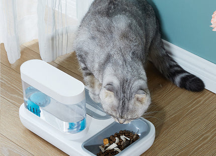 Plato Comedero Con Dispensador De Agua