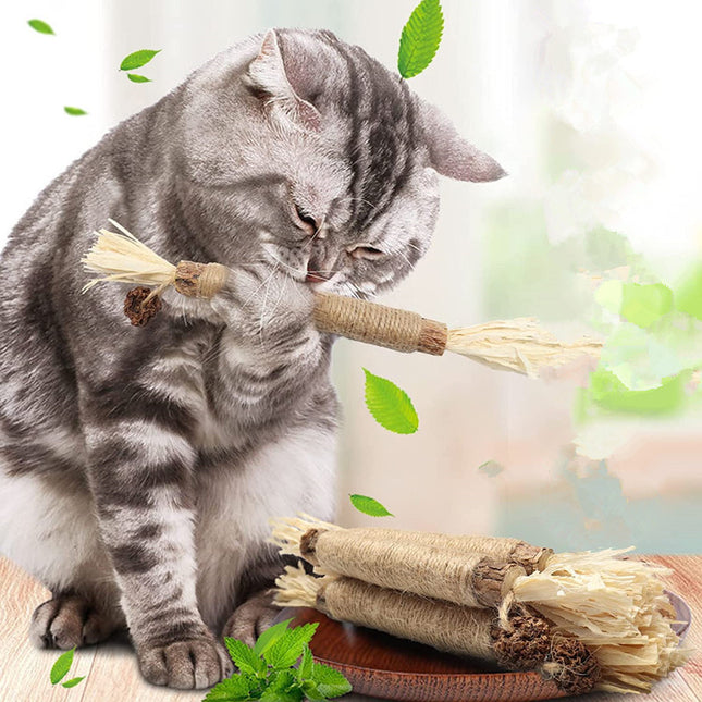 Juguete Palito Snack Natural Para Gato