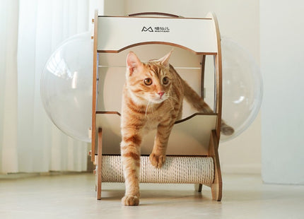 Casa De Madera Con Capsula Para Gatos