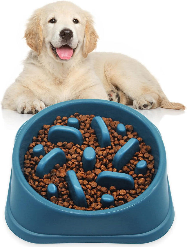 Plato Come lento Para Perro