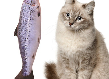 Juguete De Peluche Con Forma De Pescado