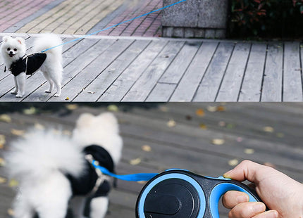 Correa extensible 5 metros / mascotas hasta 50 kg