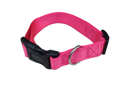 Collar simple con broche para perro o gato