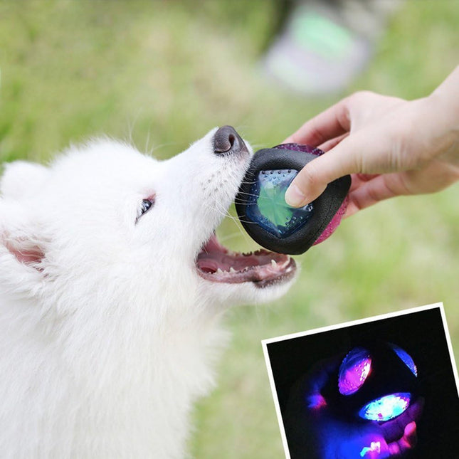 Pelota Para Perro Con Luz Y Sonido