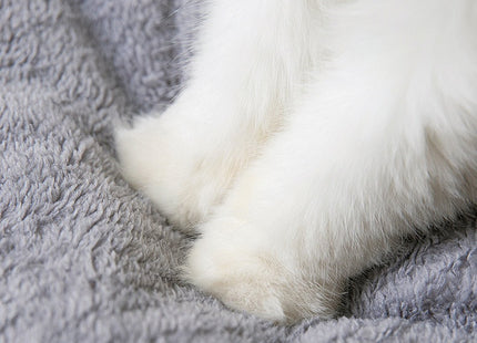 Cama Cucha Tipo Casa Desarmable Para Perro o Gato