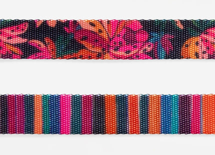Collar Zeedog Selva