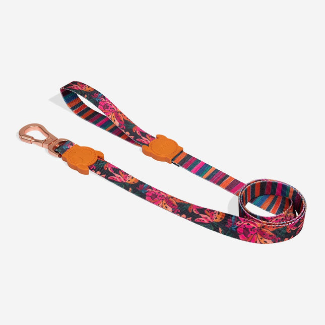 Correa Zeedog Selva