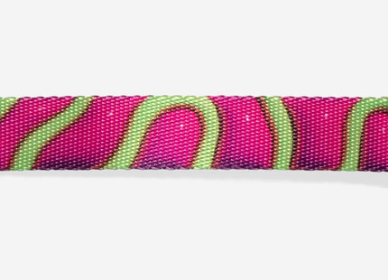 Collar Zeedog H3d Jelly